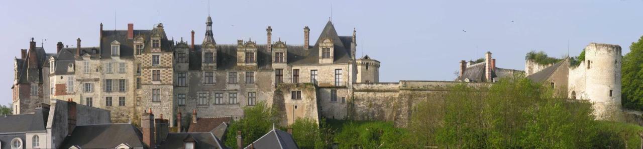 Les Gites De L'Argenterie A 15Km Du Zoo De Beauval Classes 4 Etoiles Fontguenand Exterior foto