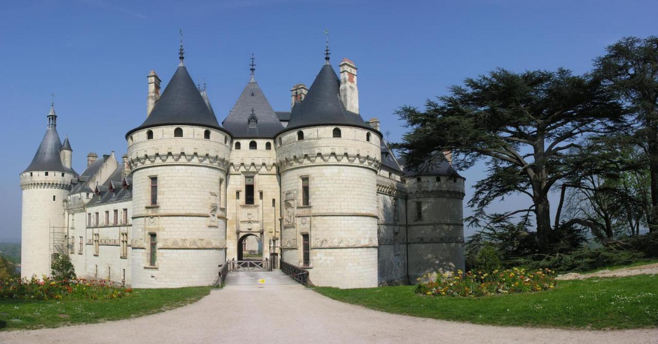 Les Gites De L'Argenterie A 15Km Du Zoo De Beauval Classes 4 Etoiles Fontguenand Exterior foto